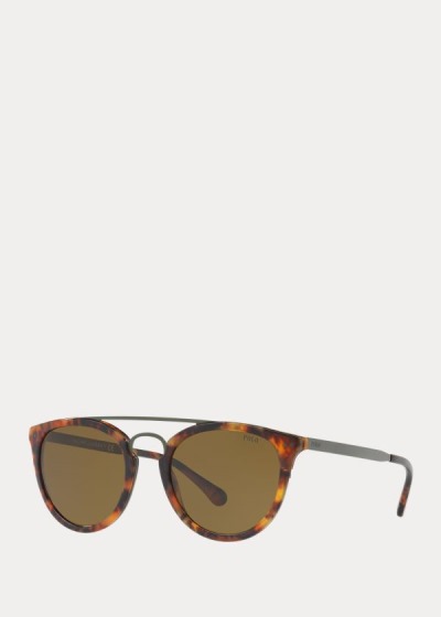 Men's Polo Ralph Lauren Panthos Sunglasses | 827410KYS